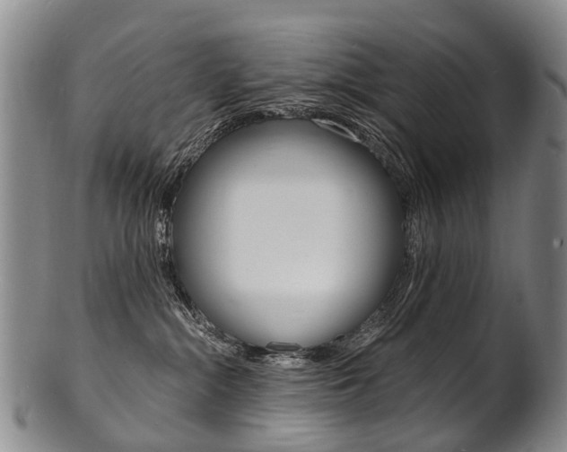 X0000101670284200807101056