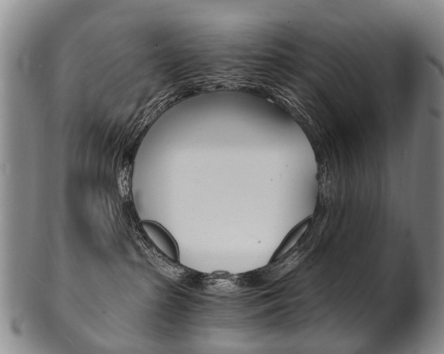 X0000101670285200807101056