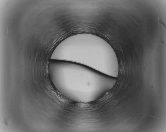 X0000101670286200807101056