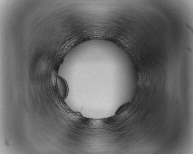 X0000101670287200807101056