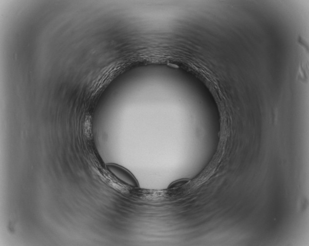 X0000101670288200807101056