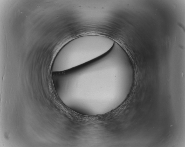 X0000101670289200807101056