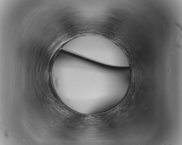 X0000101670290200807101056