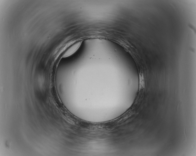 X0000101670291200807101056
