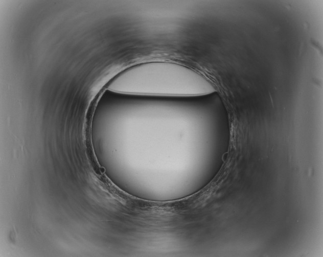 X0000101670292200807101056