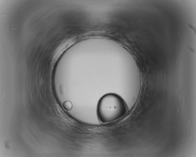 X0000101670293200807101056