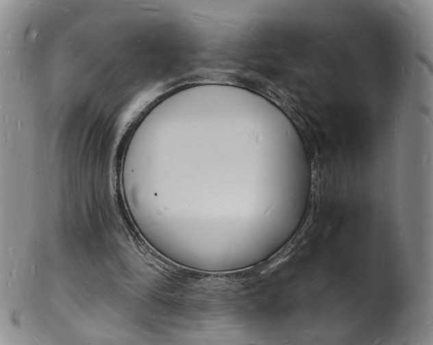 X0000101670294200807101056