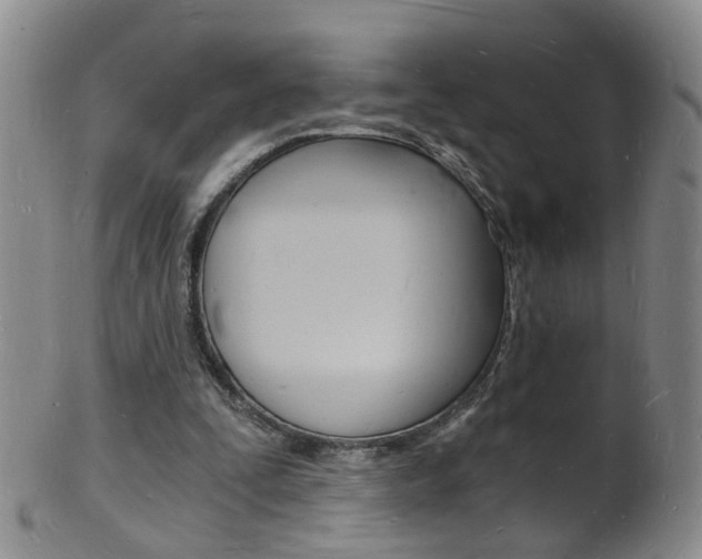 X0000101670295200807101056