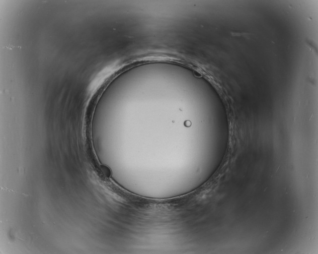 X0000101670296200807101056