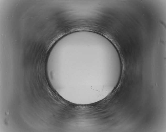 X0000101670297200807101056