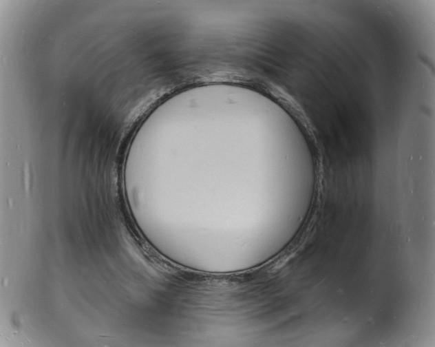X0000101670298200807101056