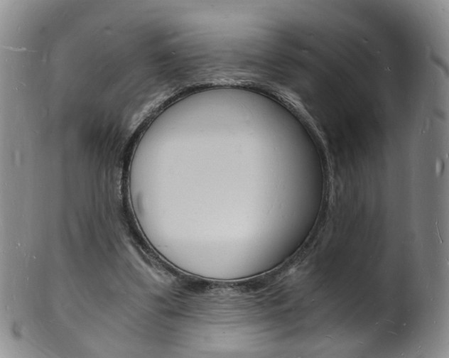 X0000101670299200807101056