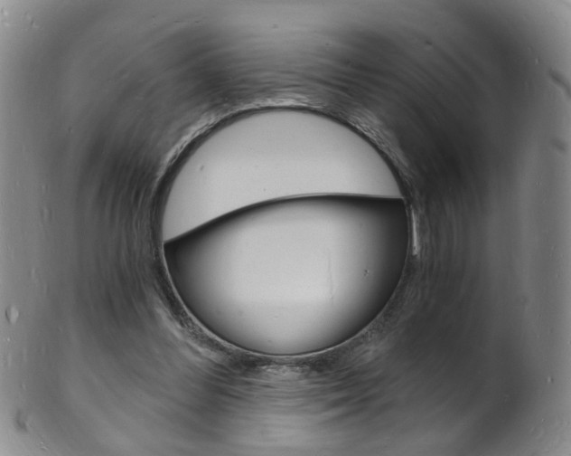 X0000101670300200807101056