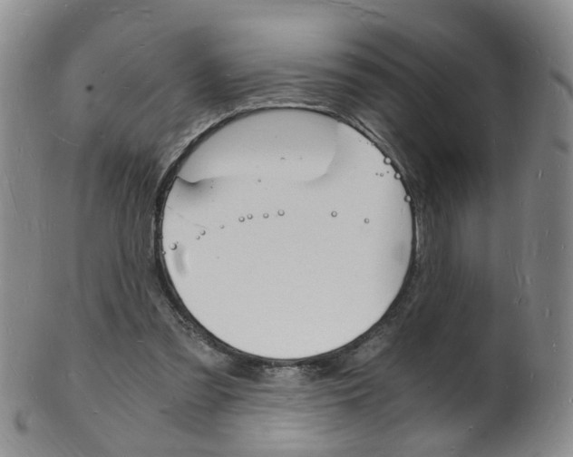 X0000101670301200807101056