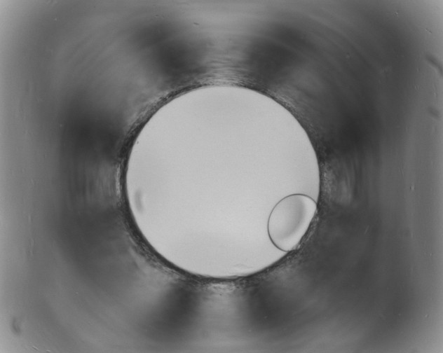 X0000101670302200807101056