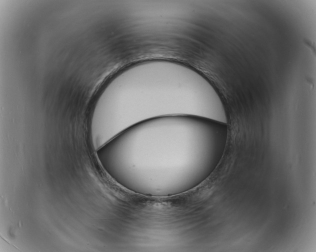 X0000101670304200807101056