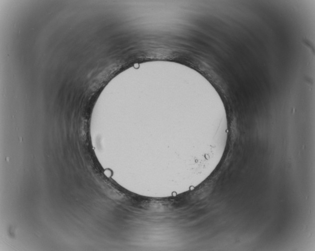 X0000101670305200807101055