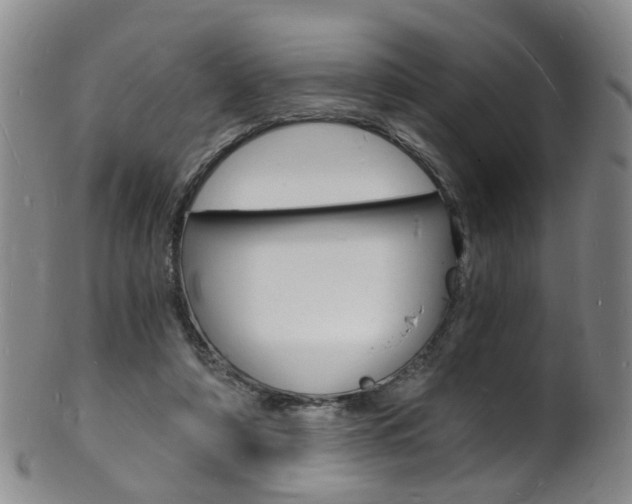 X0000101670306200807101055