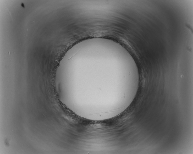 X0000101670307200807101055