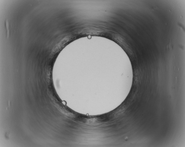 X0000101670309200807101055
