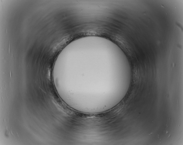 X0000101670310200807101055