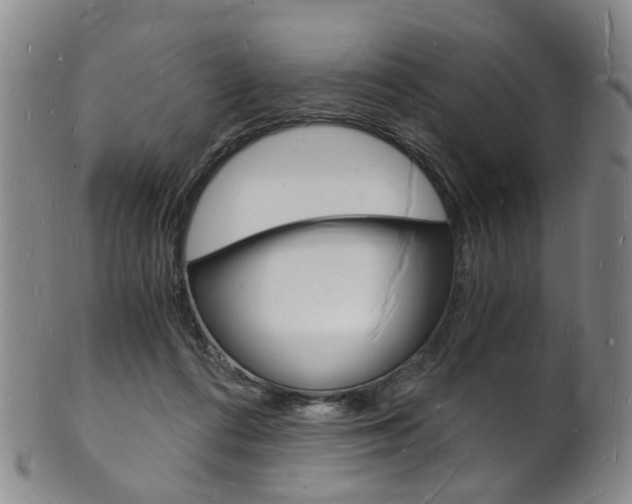 X0000101670312200807101055