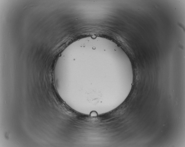 X0000101670313200807101055