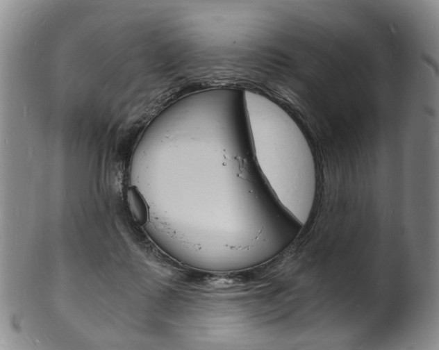 X0000101670315200807101055