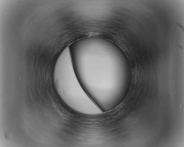 X0000101670316200807101055