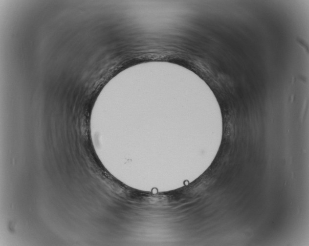 X0000101670317200807101055