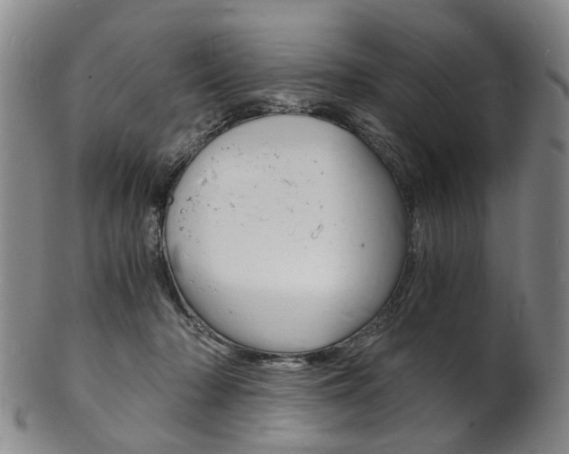 X0000101670318200807101055