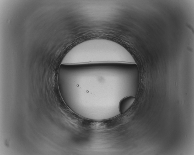 X0000101670319200807101055