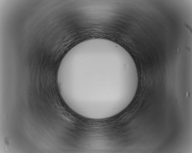 X0000101670320200807101055
