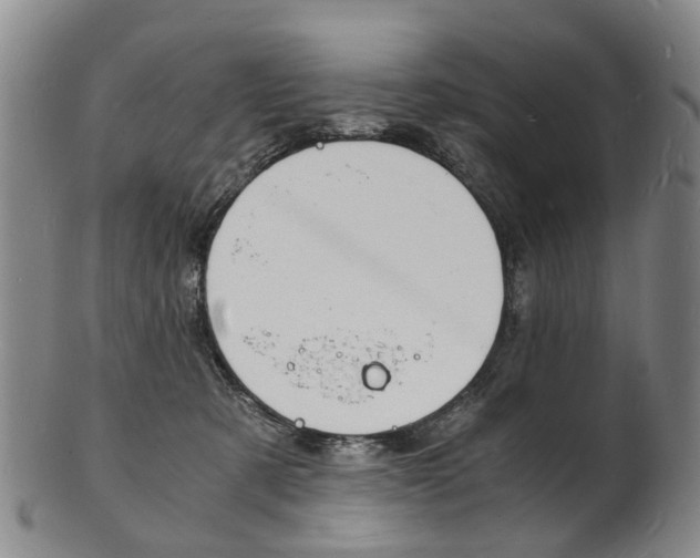 X0000101670321200807101055