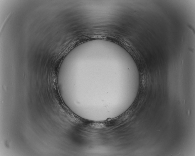 X0000101670322200807101055