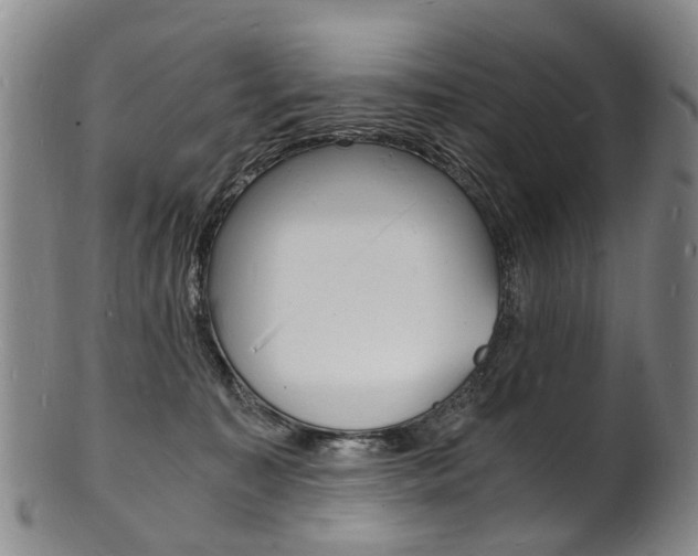 X0000101670323200807101055