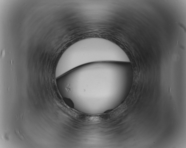 X0000101670324200807101055