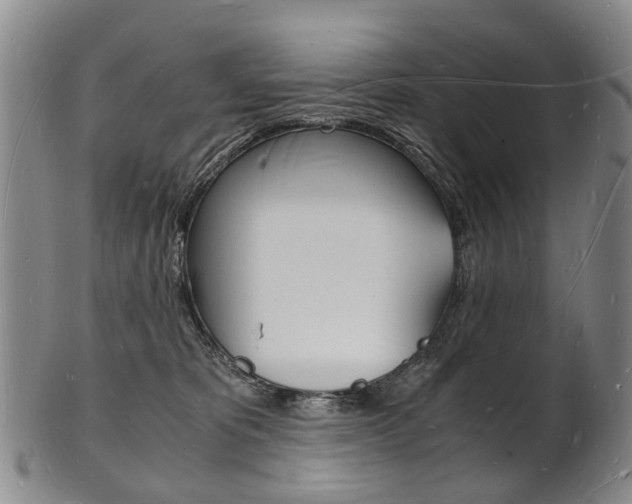 X0000101670325200807101055