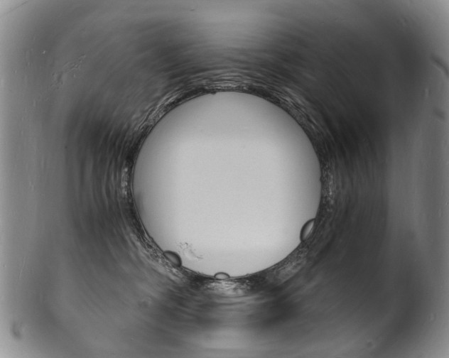 X0000101670326200807101055