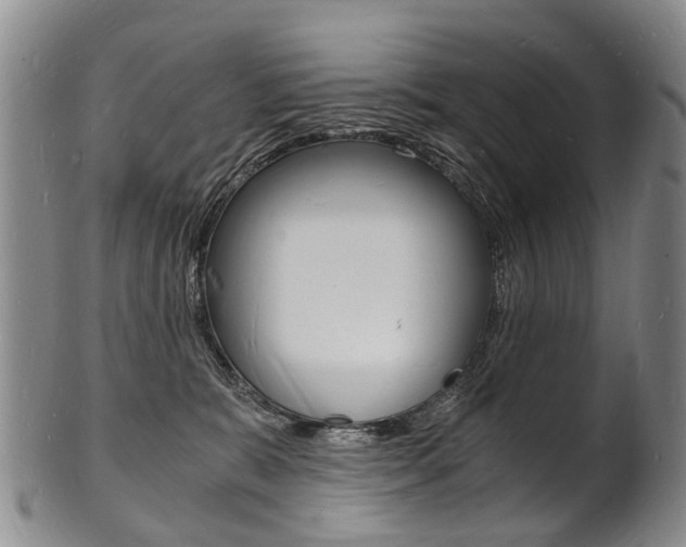 X0000101670327200807101055