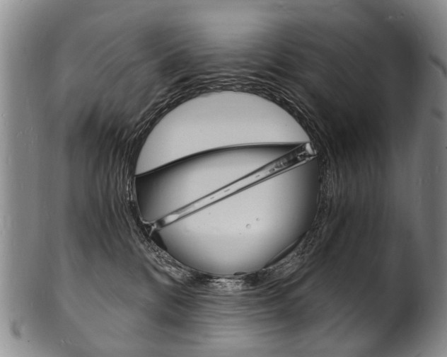 X0000101670328200807101055