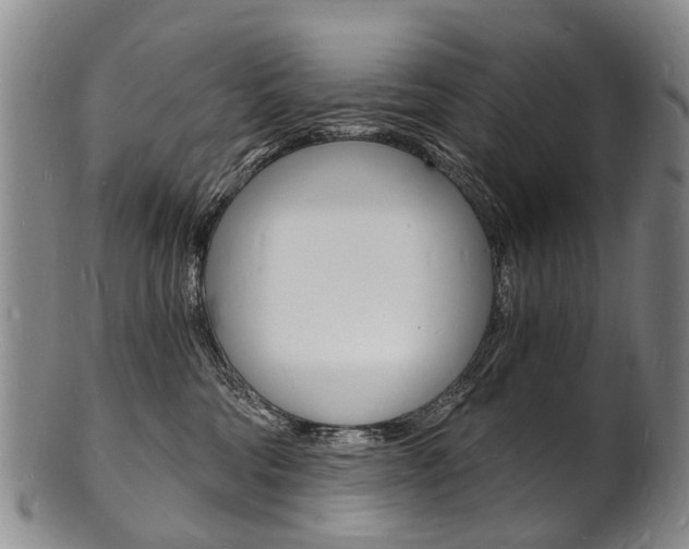 X0000101670330200807101055