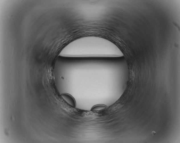 X0000101670331200807101055