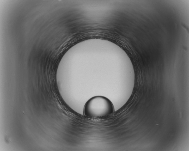 X0000101670332200807101055