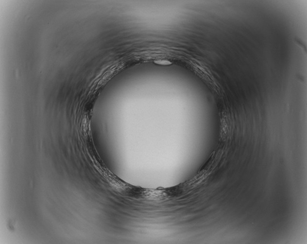 X0000101670333200807101055