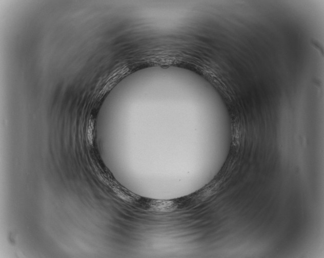 X0000101670334200807101055