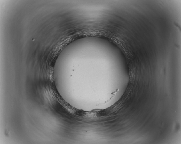 X0000101670335200807101055
