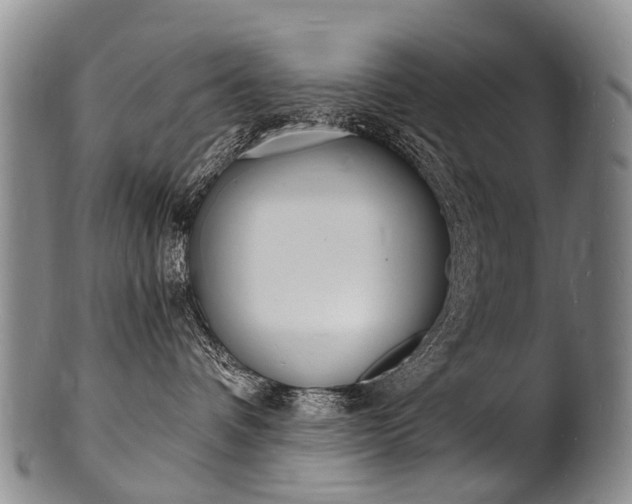 X0000101670336200807101055