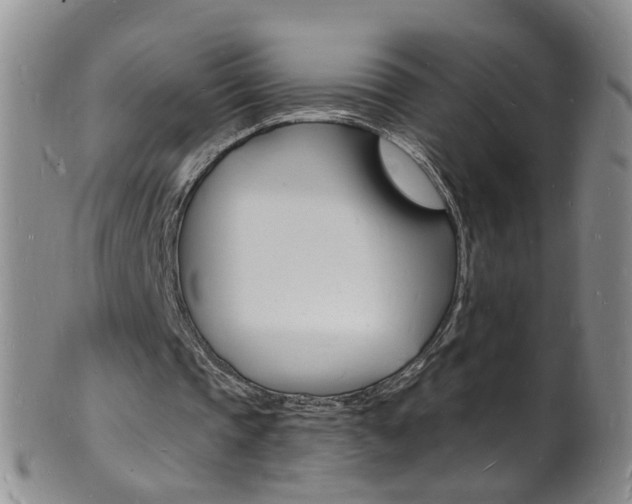 X0000101670337200807101054