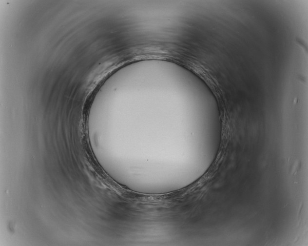 X0000101670338200807101054